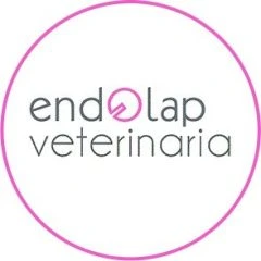 Endolap, endoscopia veterinaria