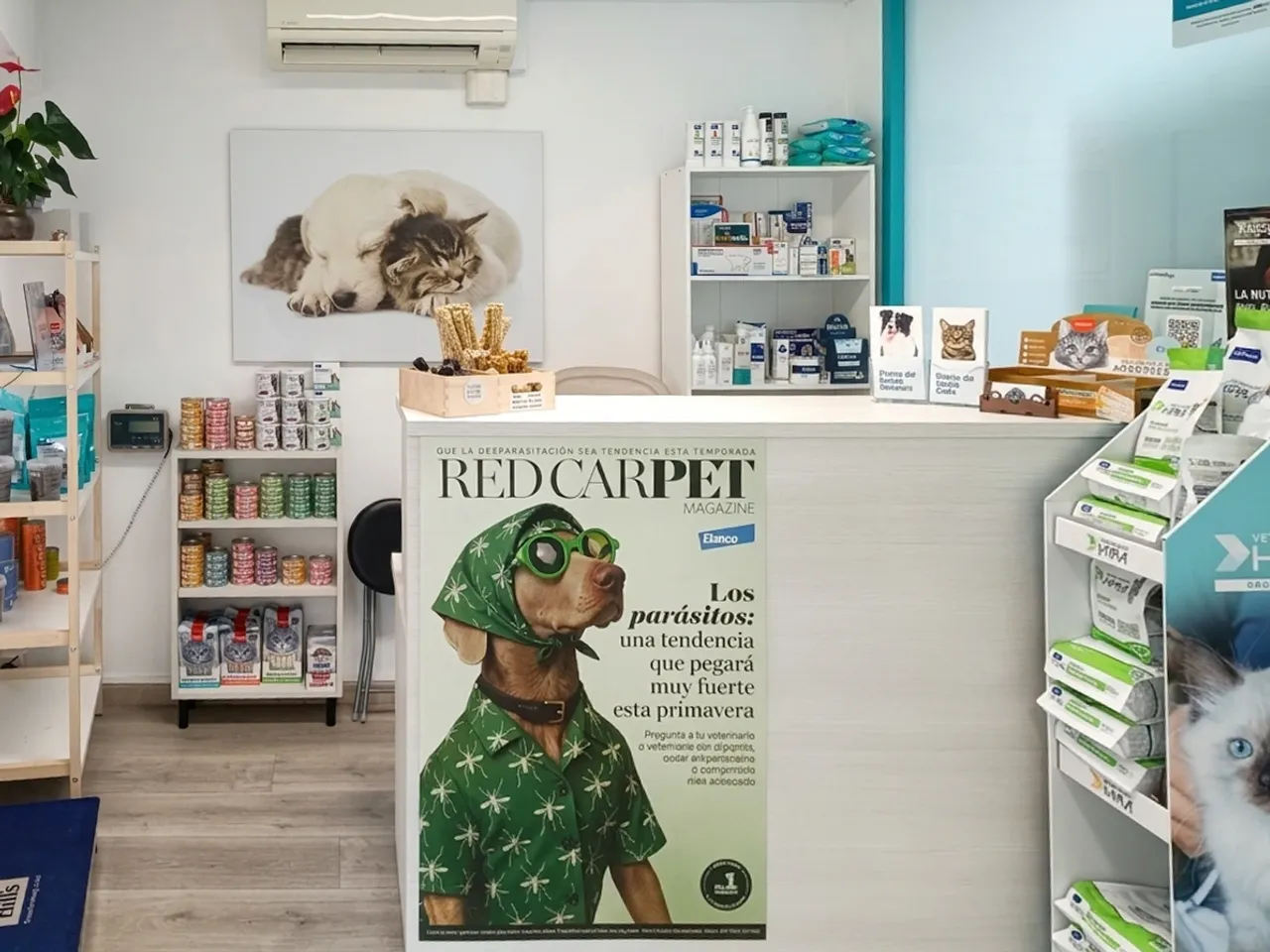 Recepció de Lovet Clínica Veterinària