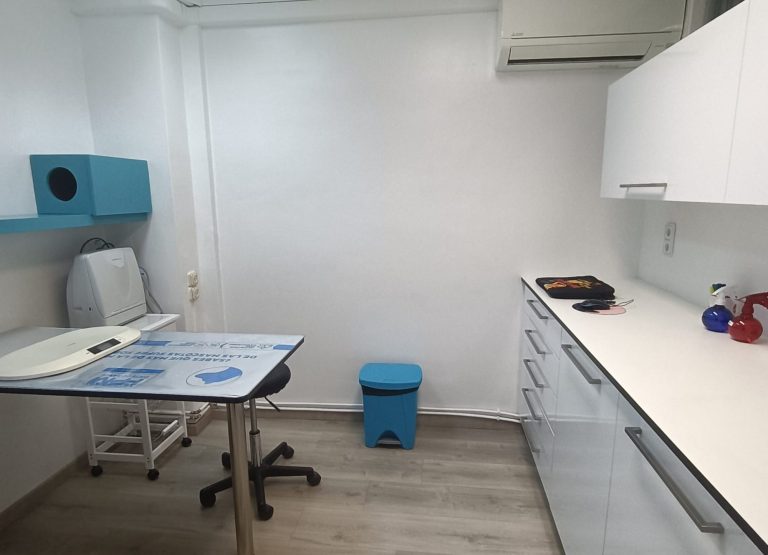 Oficina minimalista con una mesa de exploración, unos juegos para gato, silla y una gran fotografía de un bosque en la pared.