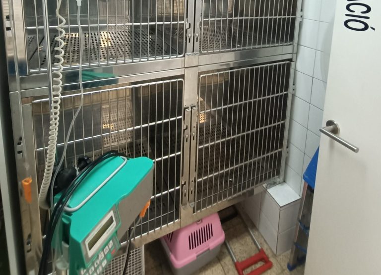 Box de acero en una clínica veterinaria, con un equipo de medición a un lado.